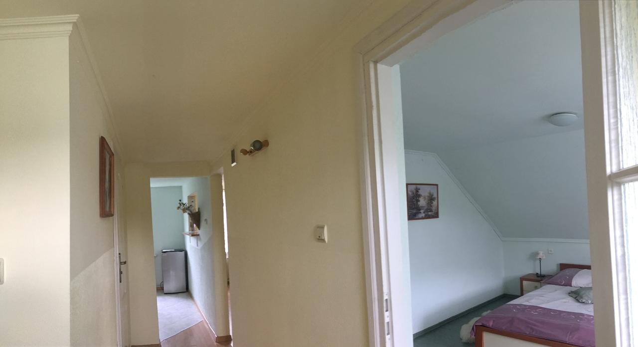Apartament U Zosi Kroscienko Krościenko Exterior foto